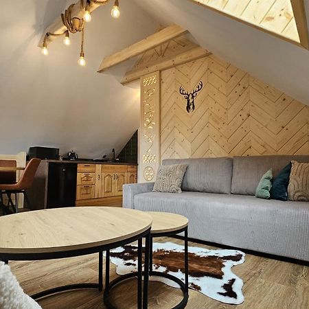 Apartament Jaskier Закопане Экстерьер фото